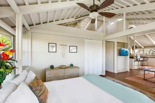 International Colony 17 - 6