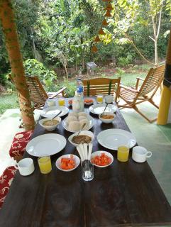 Rainforest cabin - 8