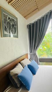 Studio Nhà vườn Hà Nội - 8