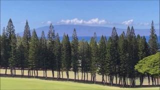Kapalua Golf Villa 12V 1 - 8