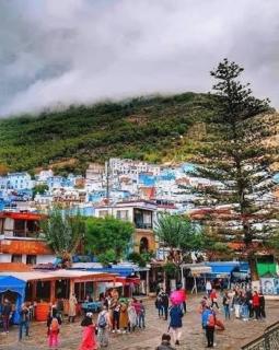 Dar amine - 1
