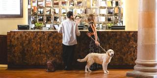 Real de Minas San Miguel de Allende - 3