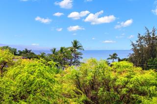 Maui Banyan P409 - 9