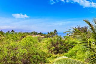 Maui Banyan P409A - 9