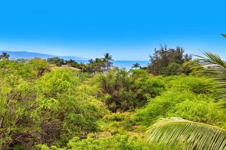 Maui Banyan P409A - 4