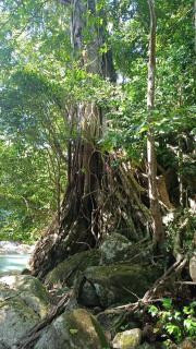 Zen and cozy escape between sea, mountain and river - 5