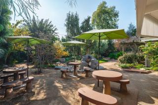 Airy Large Backyard Oasis Perfect Family Getaway - 9