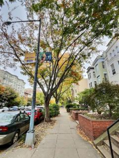 Calvert Cottage 3 - Perfect Location in Adams Morgan and Authentic Charm - 5
