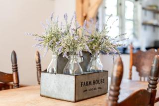 Redwing Farm Cottage - Mountain Views and Firepit! - 1