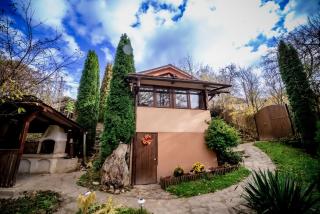 Green Hideaway - Fîntînele - 0