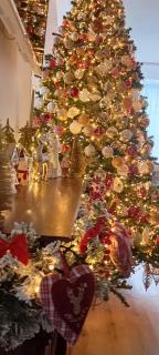 Vila Iulia Busteni - Buşteni - 7