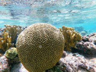 Voilier Nuitées Navigation - 5