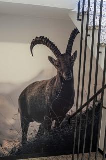 Gästehaus Kaiserblick - 3