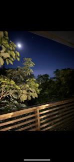 Monoambiente pleno centro santiago del estero - Santiago del Estero - 5