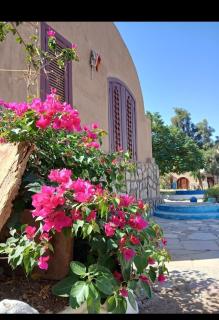 فندق اجيليكا - 1