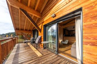 Top Floor Alpine Chalet Apartment in Grillon - 9