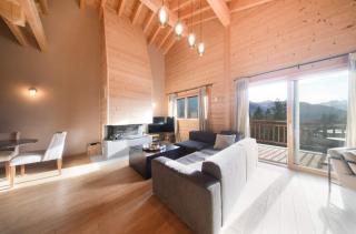 Top Floor Alpine Chalet Apartment in Grillon - 1