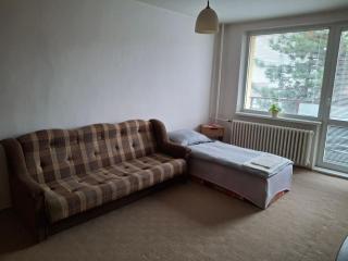 Apartment next to AUPARK - Otilia - 7