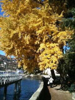 casa riva 25 vista lago-central - 9