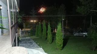 Cottage Green Garden - 7