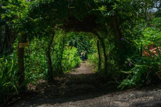 Lake Arenal Hotel, Brewery & Farm - 2