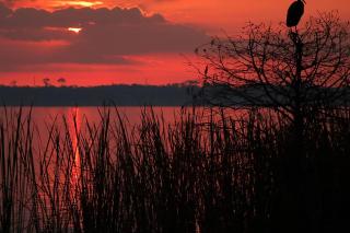 Peaceful Pond Paradise III ~ Ground Floor ~ Water Views - 1
