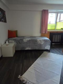 Ferienwohnung FeWe Wandern und Skifahren - 8