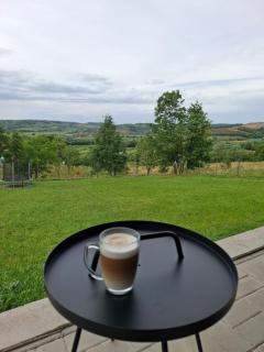 Cuibul de pe Deal Coșdeni Bihor -  - 5