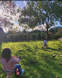 Lavender farm house - 6