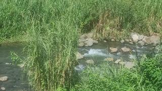 Eden Cottage Accès Exclusif Rivière - 1