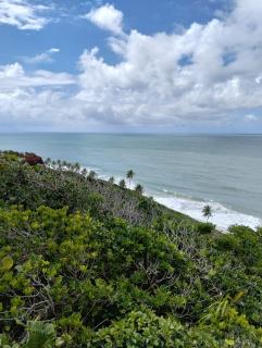 De la rosa y el canto de los pájaros - 7