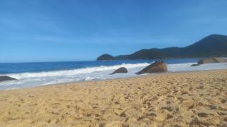 De la rosa y el canto de los pájaros - 5