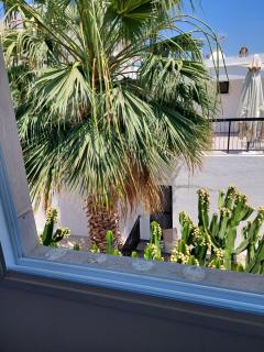 Cozy Studio city centre - 9