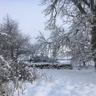 Gorgeous boutique off-grid cottage near Peebles - 2