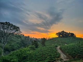 Rafters Retreat Coorg - The Riverside Homestay - Srimangala - 0