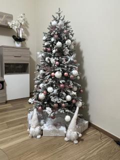 Casa vacanze l’orchidea - 7