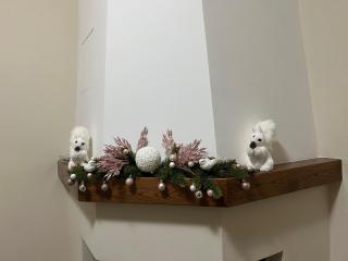 Casa vacanze l’orchidea - 5