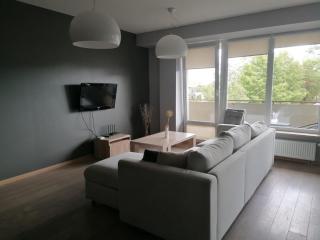 Central Druskininkai Apartment - 4