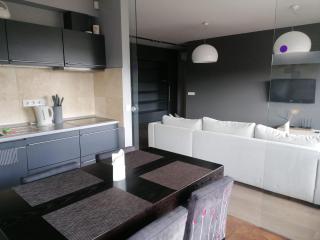 Central Druskininkai Apartment - 2