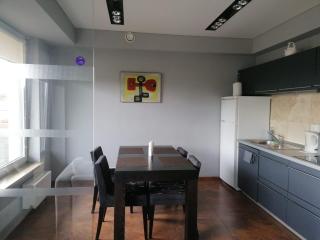 Central Druskininkai Apartment - 1