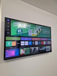 Osan Comfort Studio - Baia Mare - 4