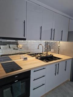 Osan Comfort Studio - Baia Mare - 3