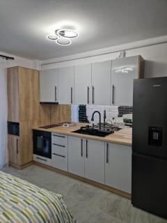 Osan Comfort Studio - Baia Mare - 2