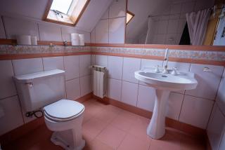 Lady Florence Dixie - 8