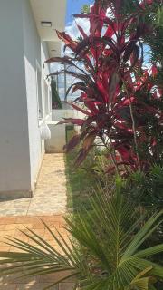 Paraíso no Ninho - 2