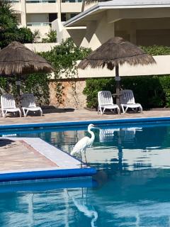 Lagoon Sunset view entire apartment - 5