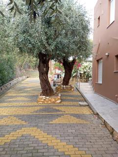 Δίπλα στο κύμα -Βeside the wave - 6