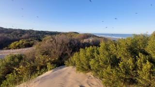 Miralejos CARILO PLAYA Y CENTRO - 1