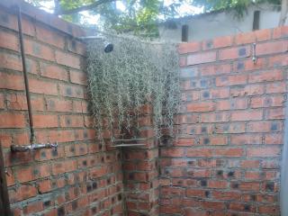 Koekeloer Selfcatering Cottages - 3