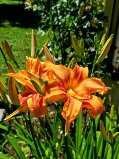 Cabaña San Rafael - 7